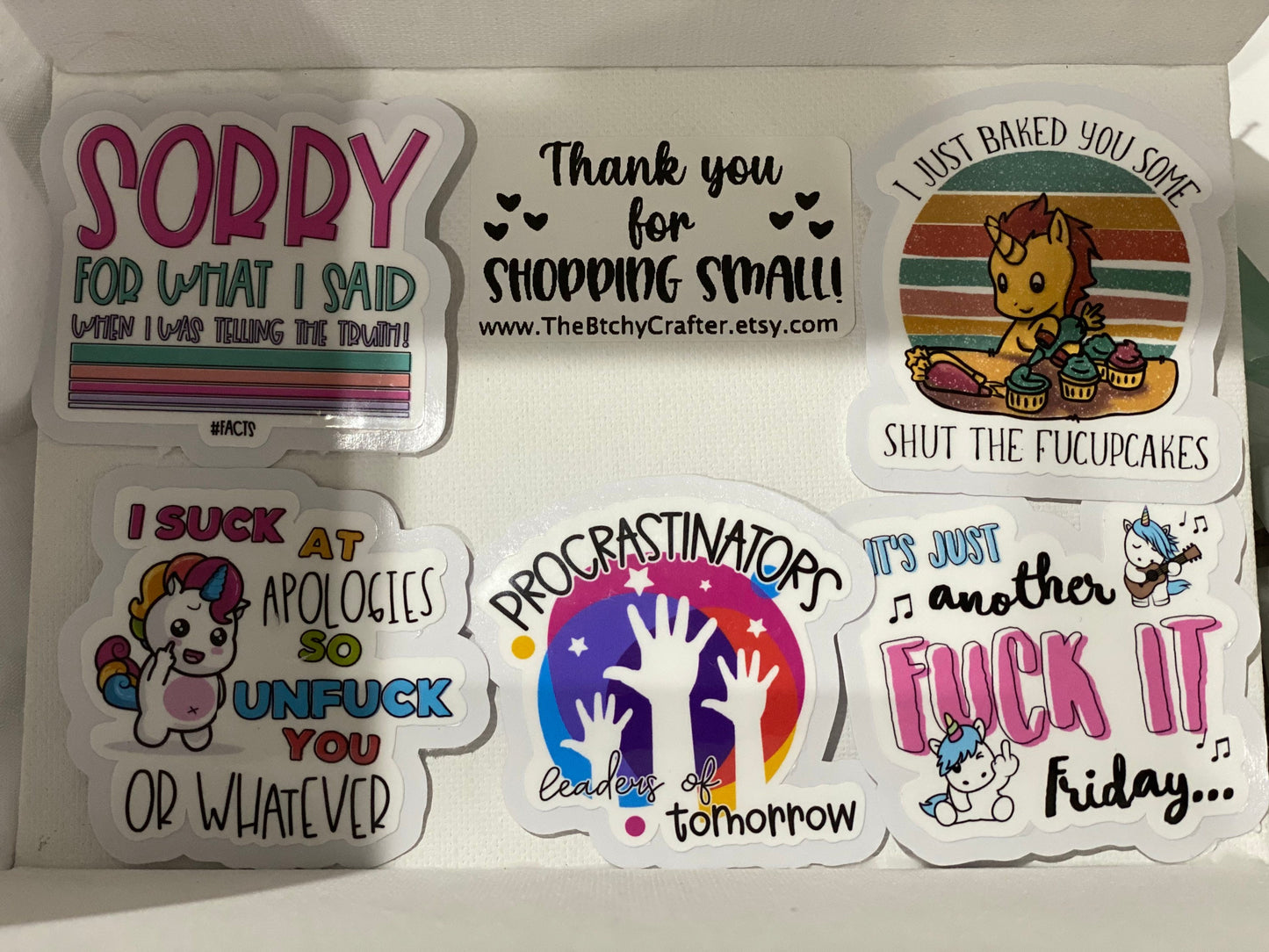 Procrastinators The Leaders of tomorrow sticker | Tumbler Decal | Water bottle Decal | Laptop Decal | water Resistant Die Cut Stickers