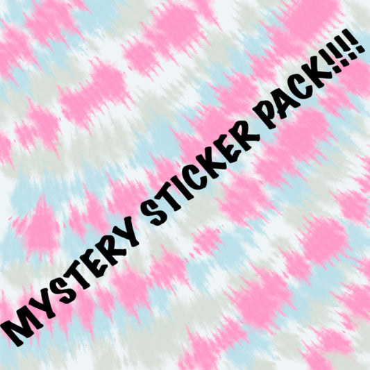 MYSTERY STICKER PACK!!! Sticker grab bag | different Varieties
